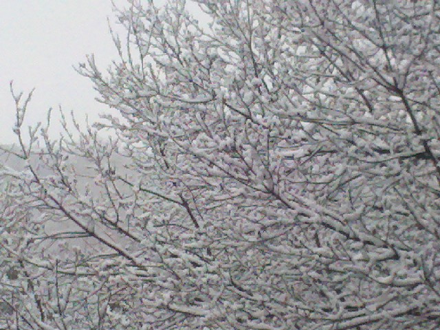 Snow, April 20